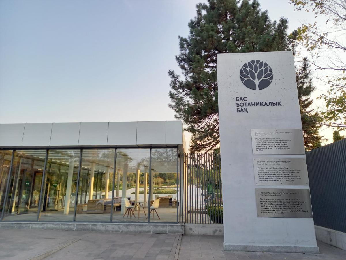 אלמטי "Картина Горных Вершин" Квартира- "Mountain View" Apartment מראה חיצוני תמונה